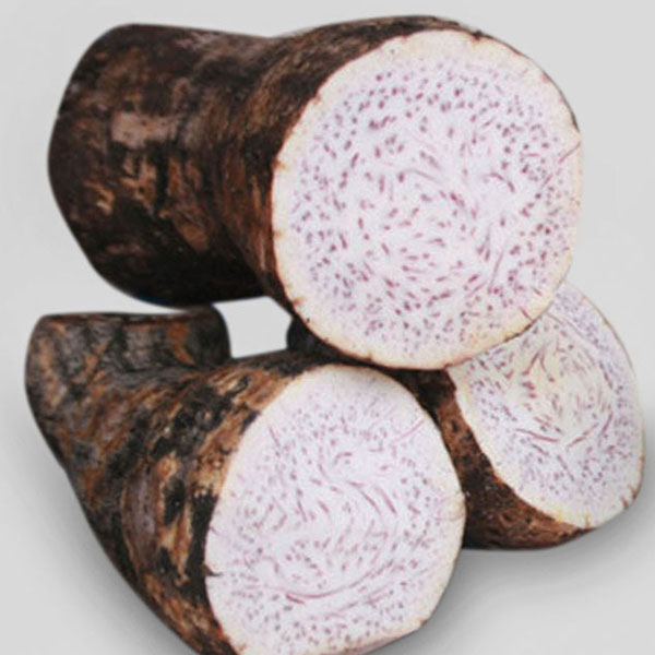 Stem yam